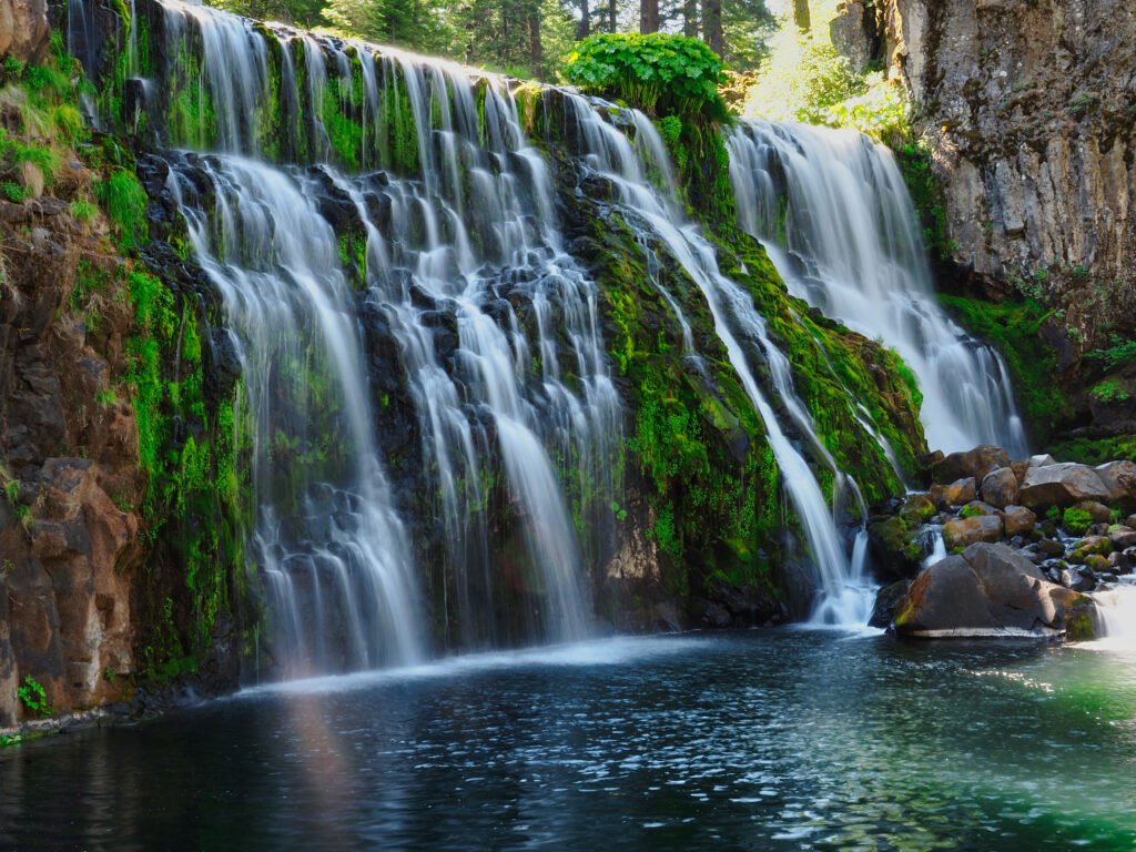 Explore McCloud Falls Restaurants & Activities: Your Ultimate Guide