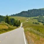 Humboldt County’s Cannabis Culture: An Insider’s Look at a Legendary Industry