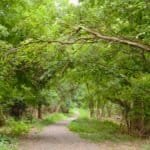 Beyond Ardmore: Main Line Trails, Taverns & Hidden Gems Guide