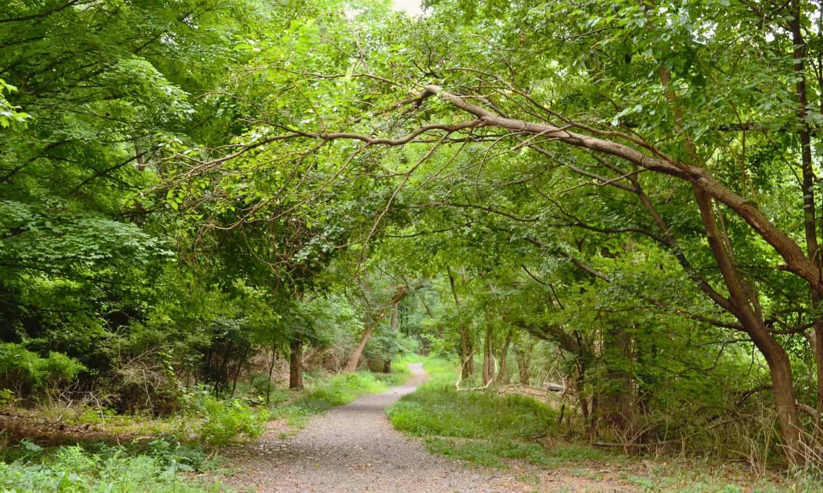 Beyond Ardmore: Main Line Trails, Taverns & Hidden Gems Guide
