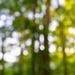 Nature Near West Chester, PA: The Best Parks, Gardens & Outdoor Escapes