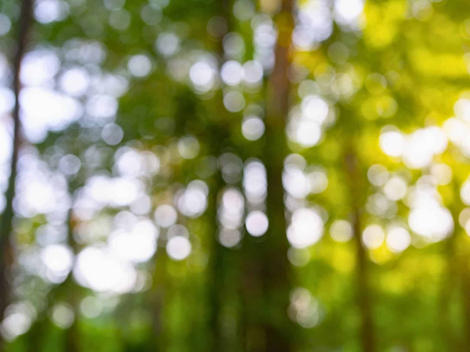 Nature Near West Chester, PA: The Best Parks, Gardens & Outdoor Escapes