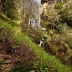 Golden and Silver Falls State Park, Oregon: A Hidden Waterfall Gem Near Coos Bay