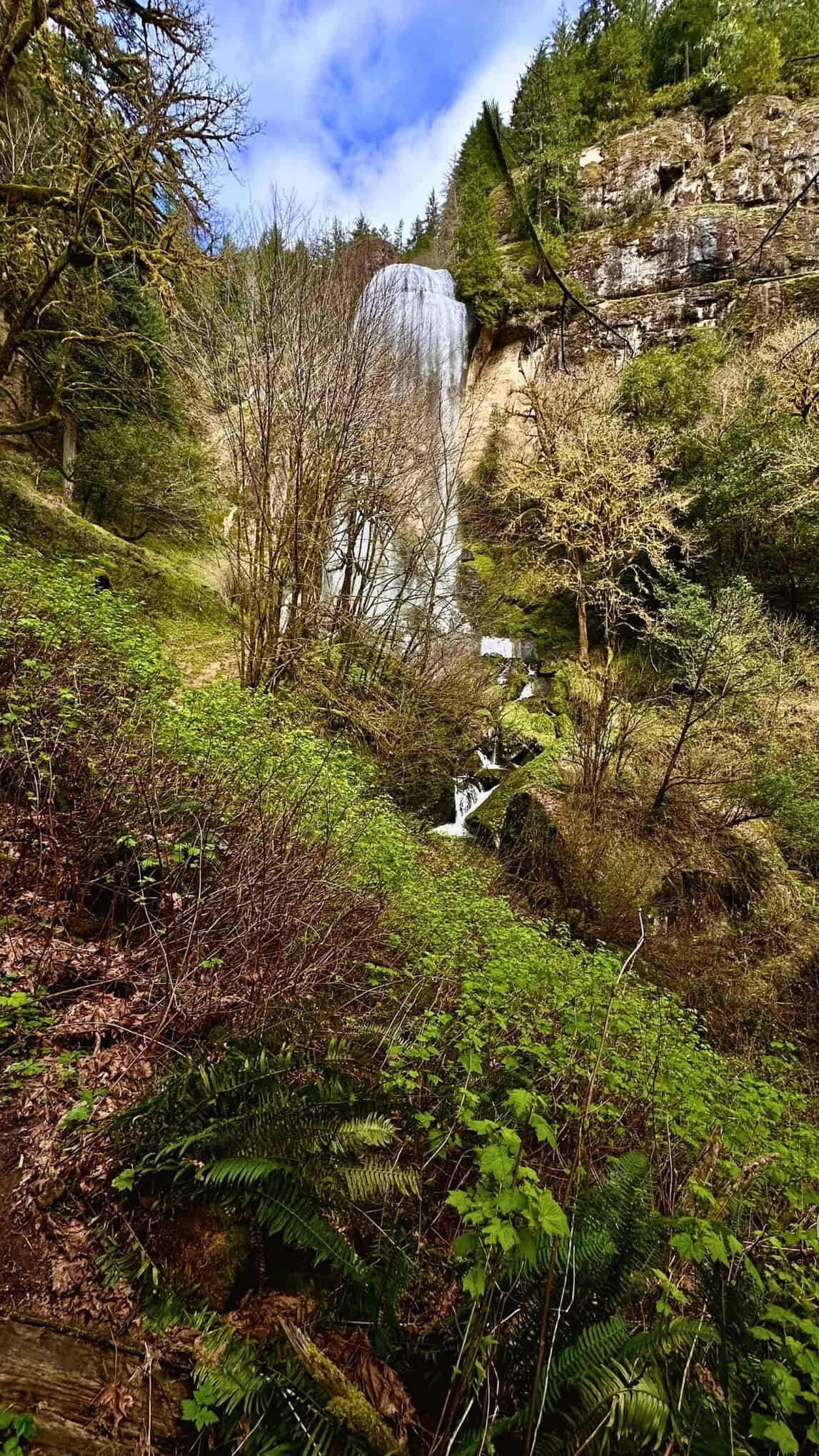 Golden and Silver Falls State Park, Oregon: A Hidden Waterfall Gem Near Coos Bay
