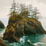 10 Best Things to Do in Brookings, Oregon for Nature Lovers