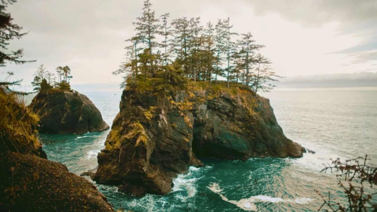 10 Best Things to Do in Brookings, Oregon for Nature Lovers