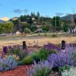 Best Things to Do in Phoenix, Oregon