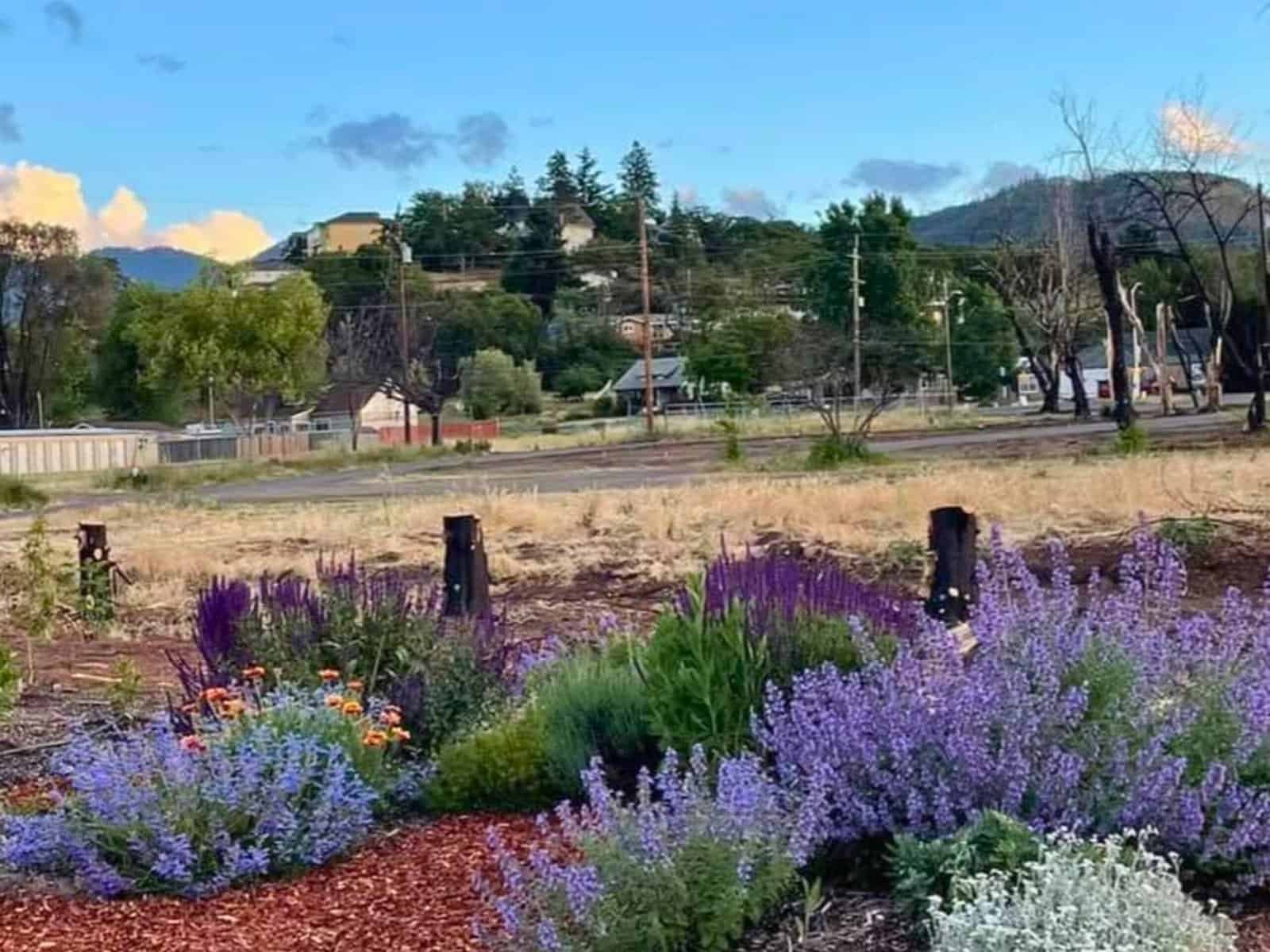 Best Things to Do in Phoenix, Oregon
